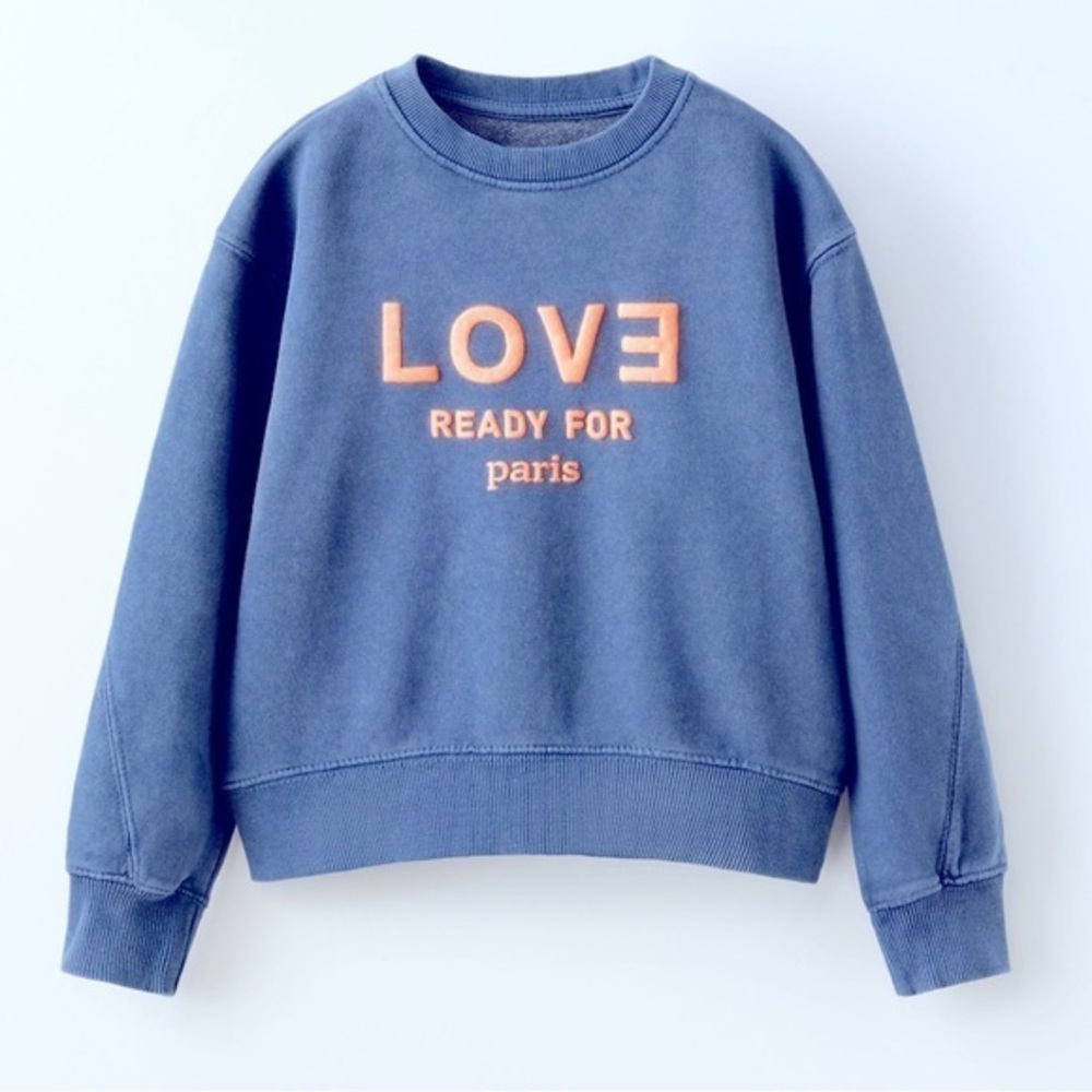 Zara Blue Knit Top